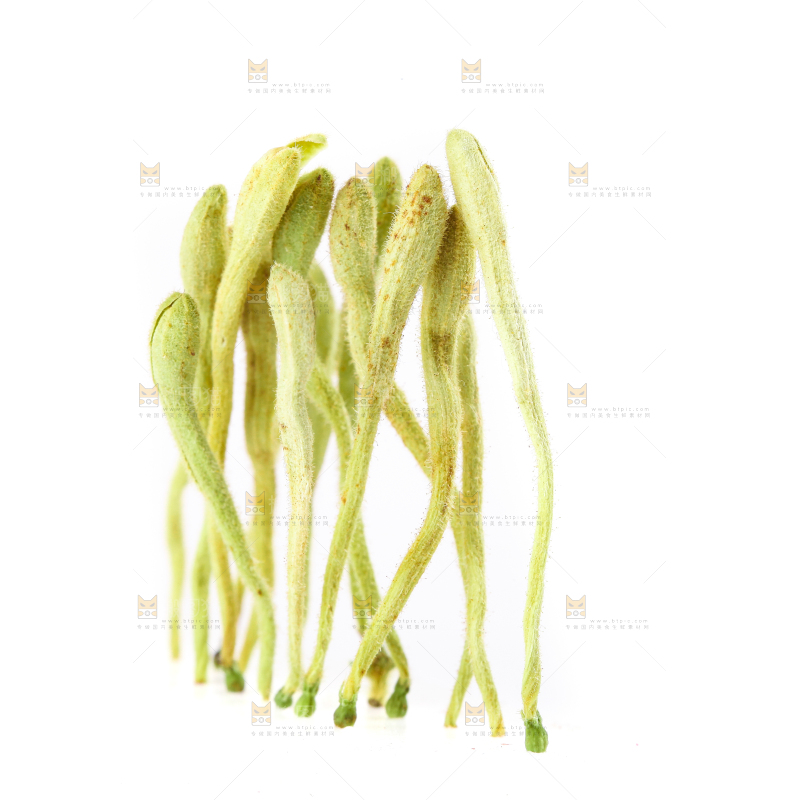 白底上的金银花