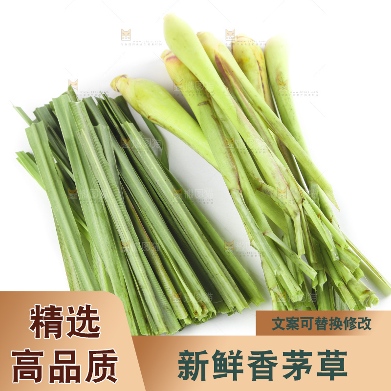 白底上的泰国香茅草