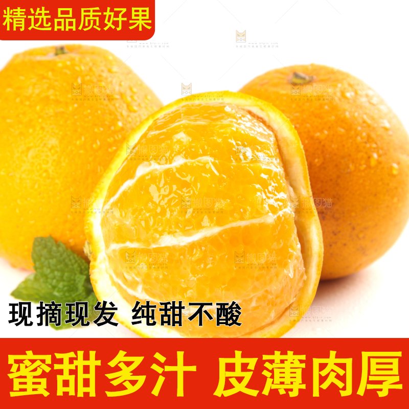 白底上放着小柚子