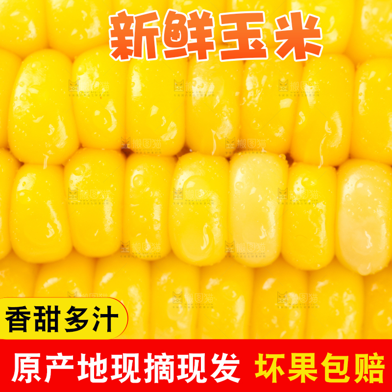 白格子底上放着黄玉米