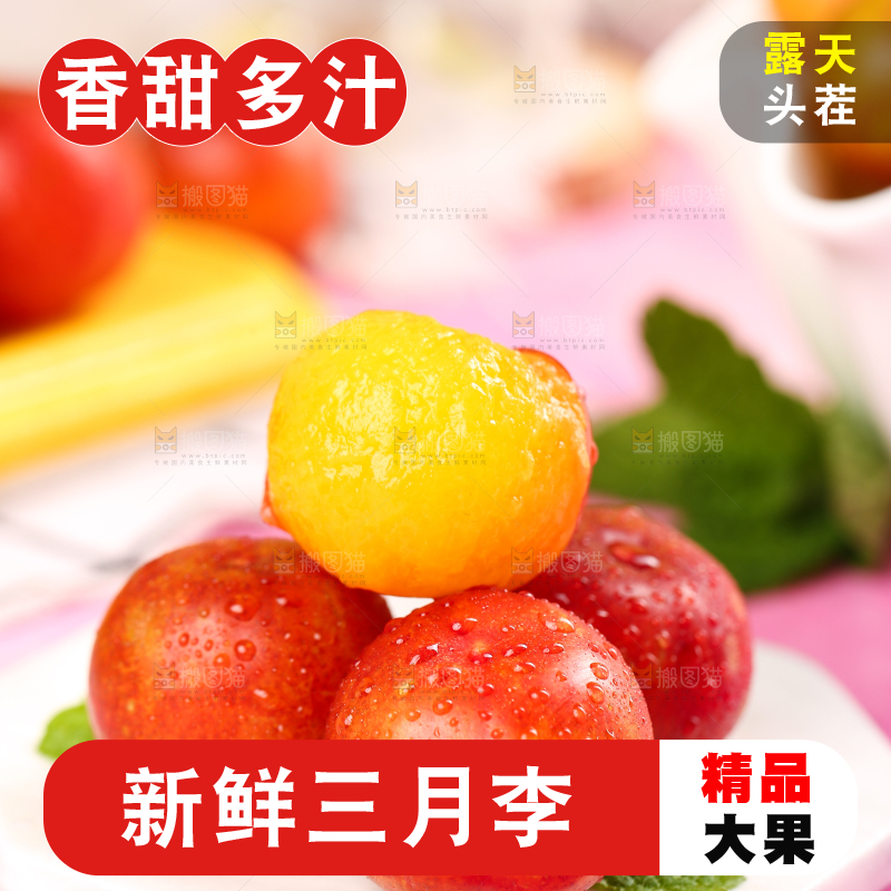 白石板上摆放着钱排三月李