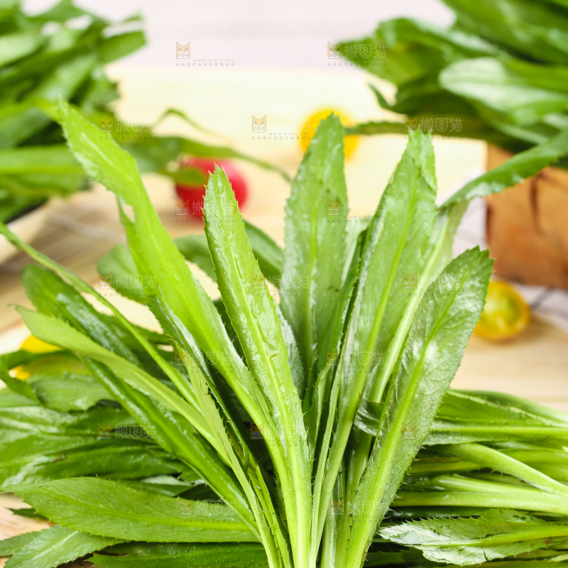 木底上的缅芫荽