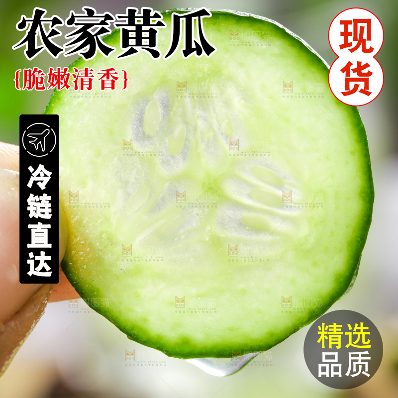 手里拿着山东水果黄瓜