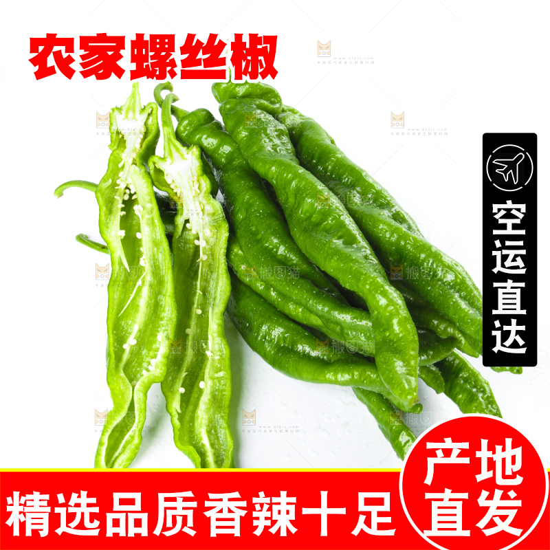 白底上摆放着青螺丝椒
