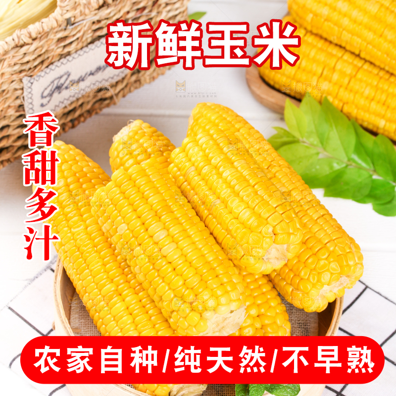 白格子底上放着黄玉米