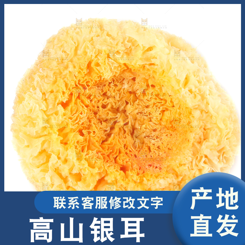 白底上放着雪银耳