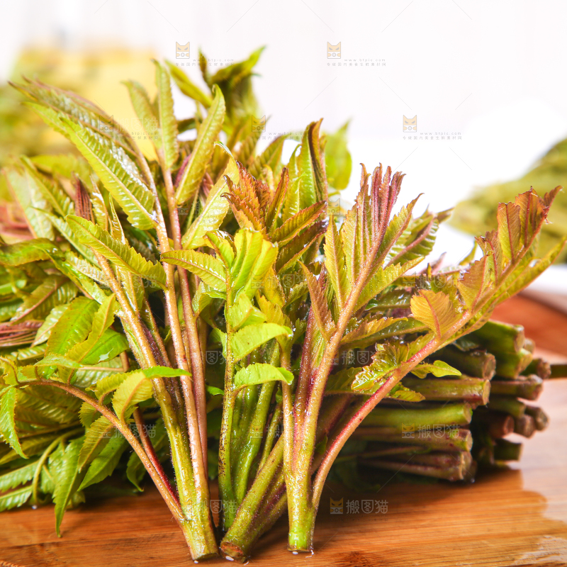 木板上的香椿芽