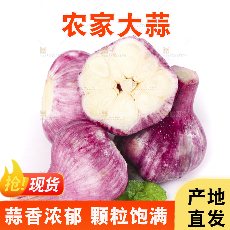 白底上放着紫皮大蒜