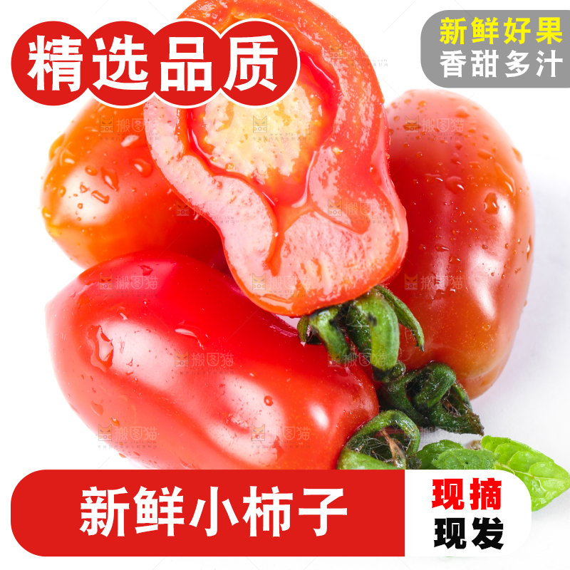 白底上摆放着丹东409小柿子