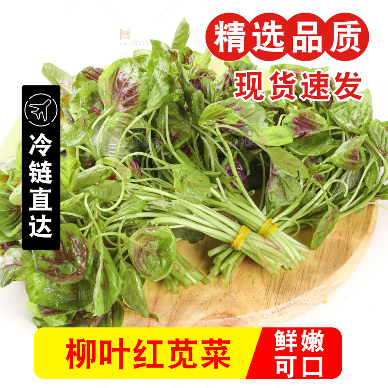 木底上的红苋菜