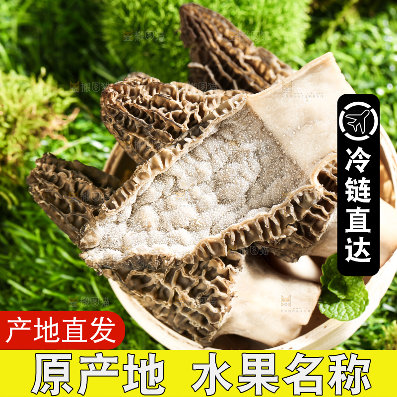 草地上的羊菌肚