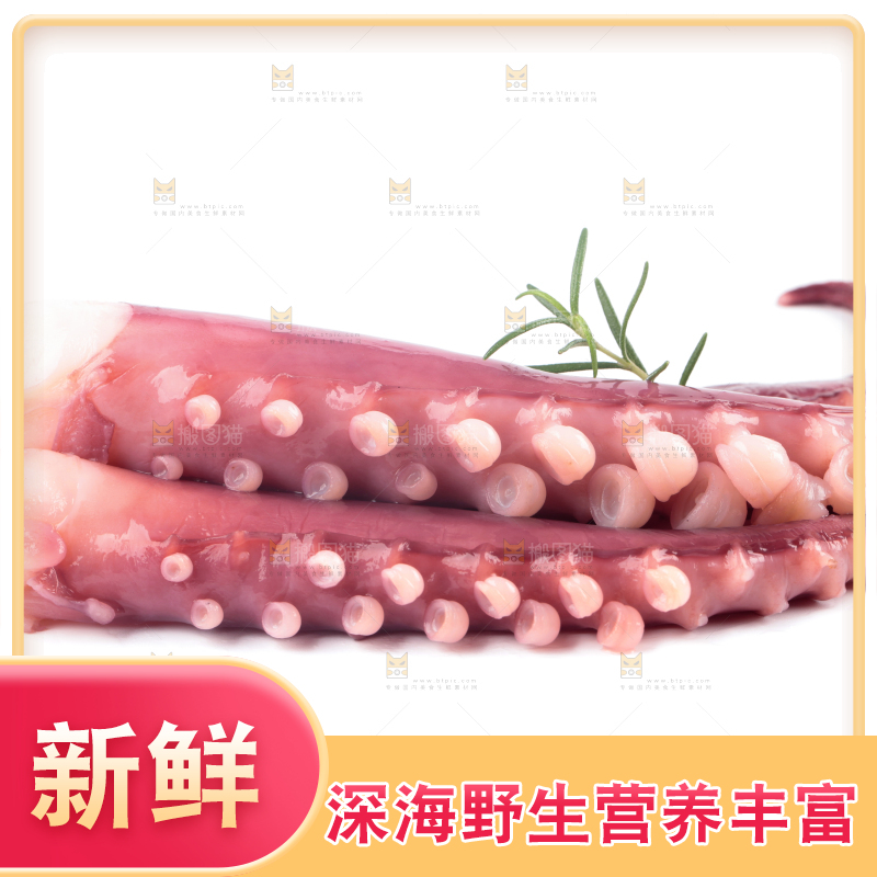 白底上的大鱿鱼