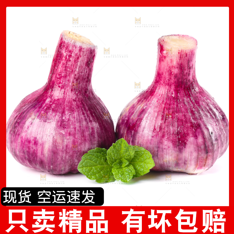 白底上放着紫皮大蒜