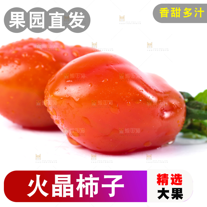 白底上摆放着丹东409小柿子