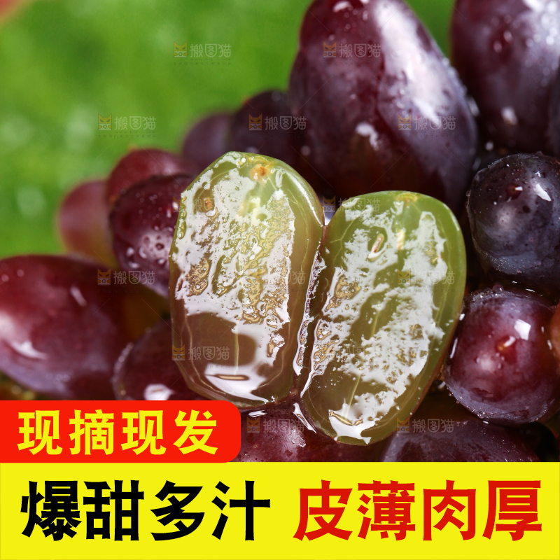 深底上的郁金香葡萄