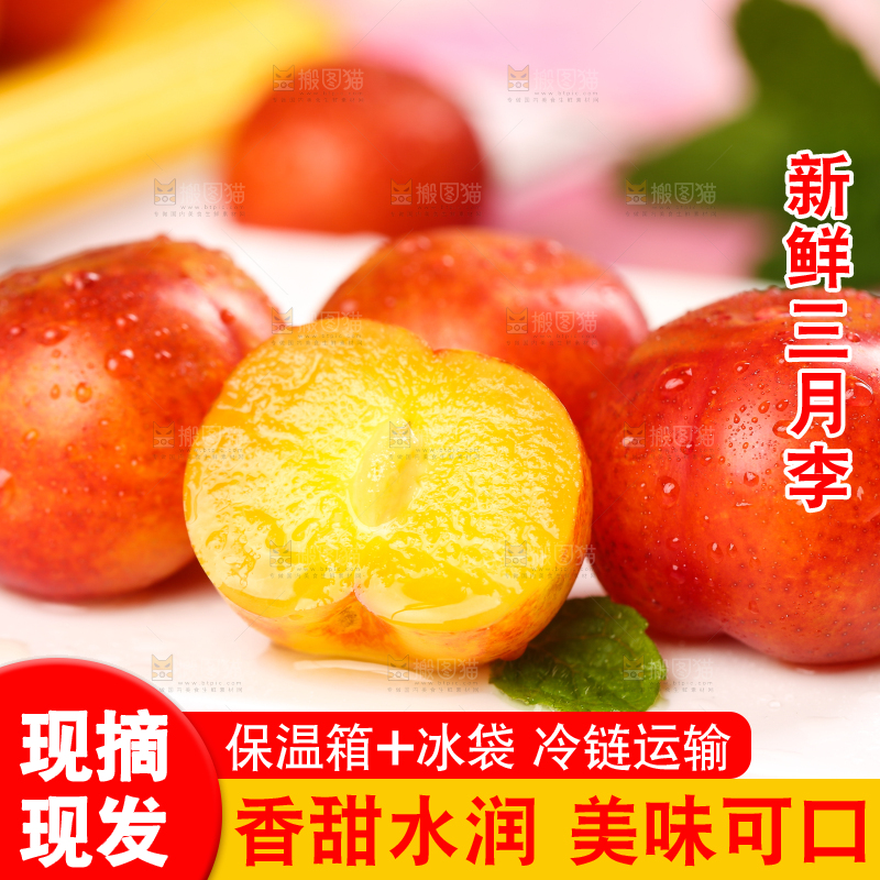 白石板上摆放着钱排三月李