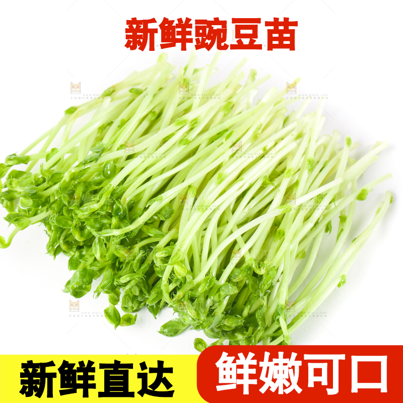白底上放着豌豆芽菜