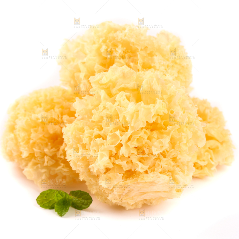 白底上的雪银耳