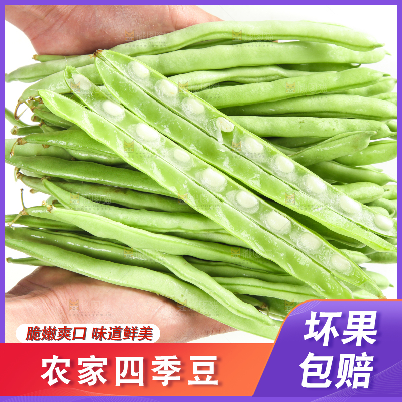 手里拿着鲜嫩四季豆