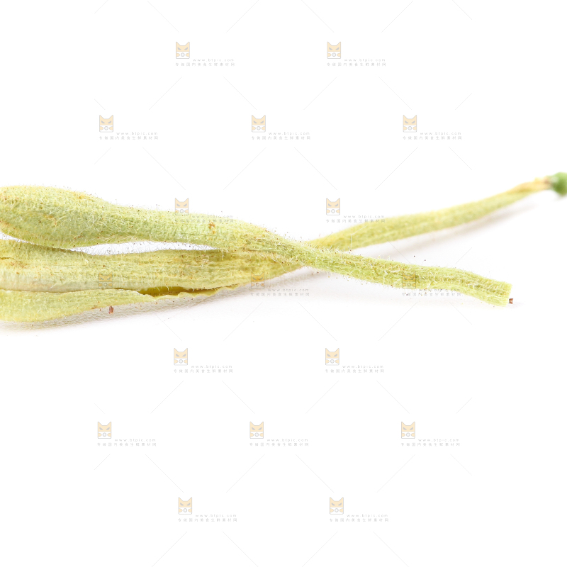 白底上的金银花