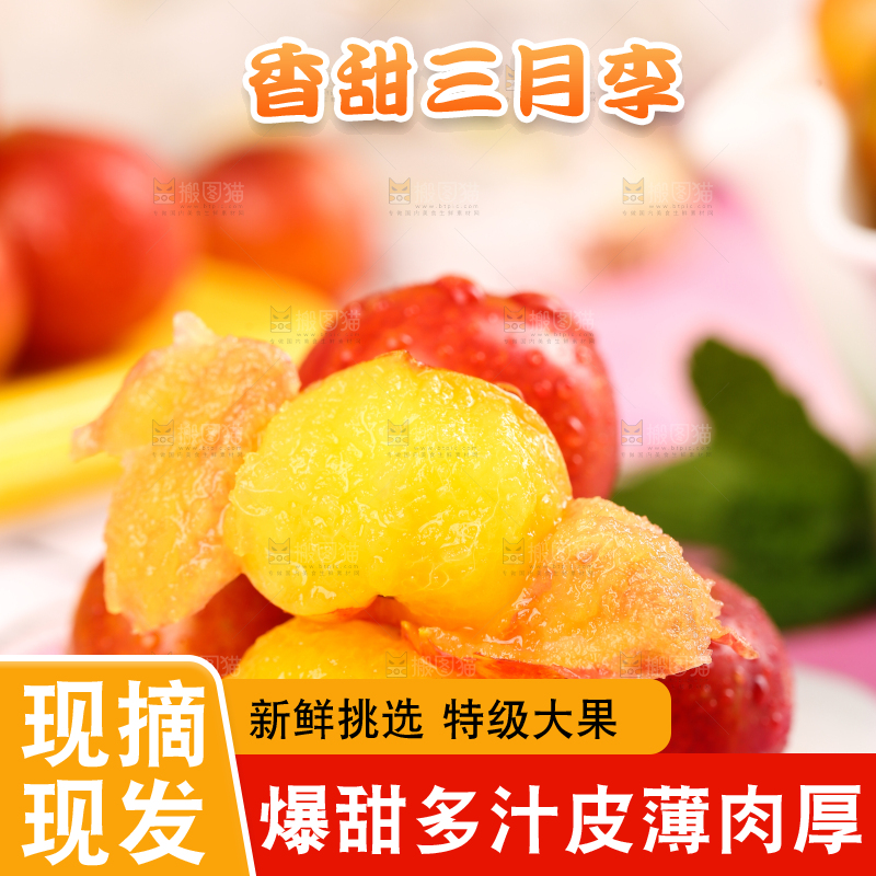 白石板上摆放着钱排三月李