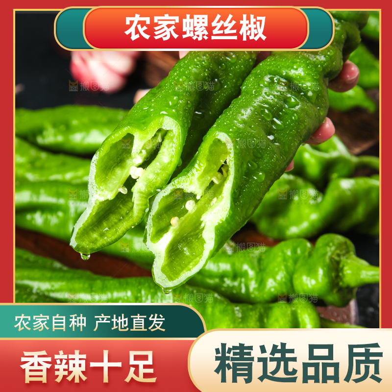 手里拿着新鲜螺丝椒