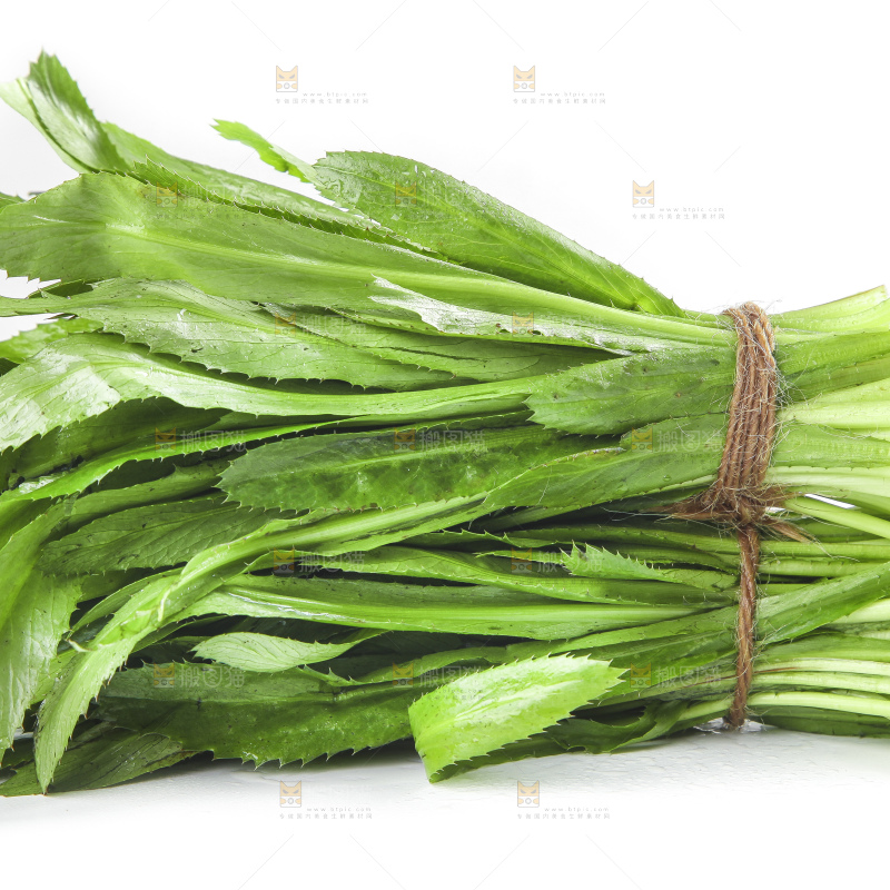 白底上的云南新鲜大香菜