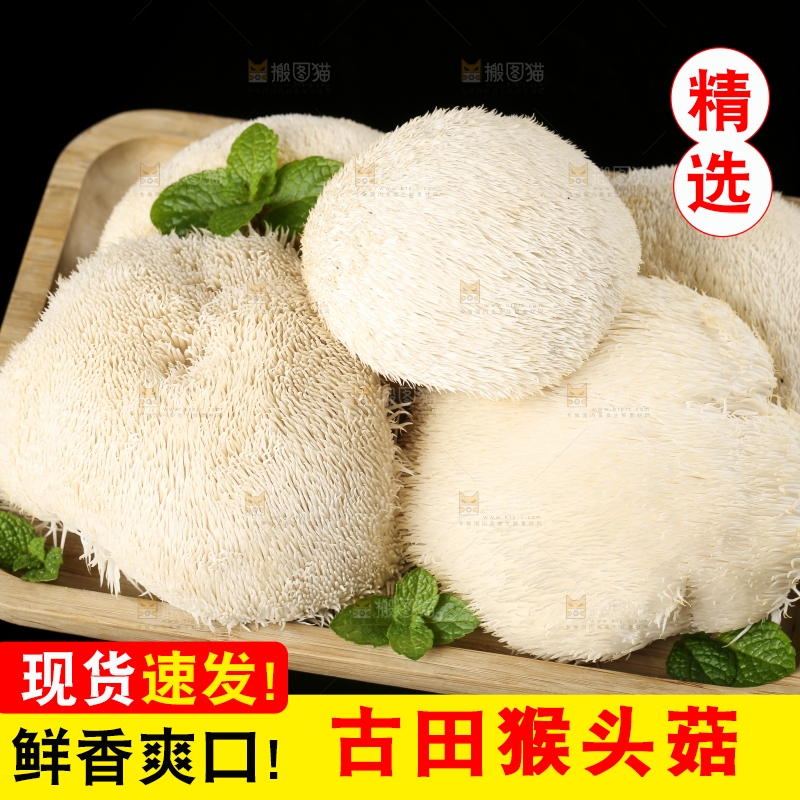 盘子里装着新鲜猴头菇