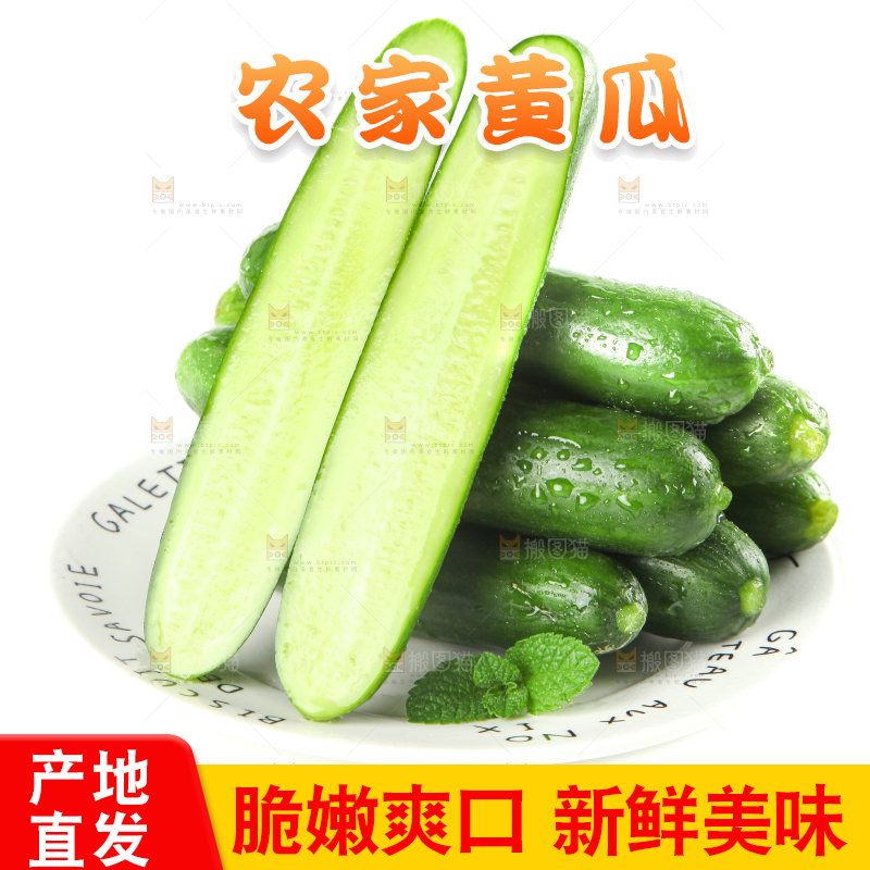 盘子里的无刺小黄瓜