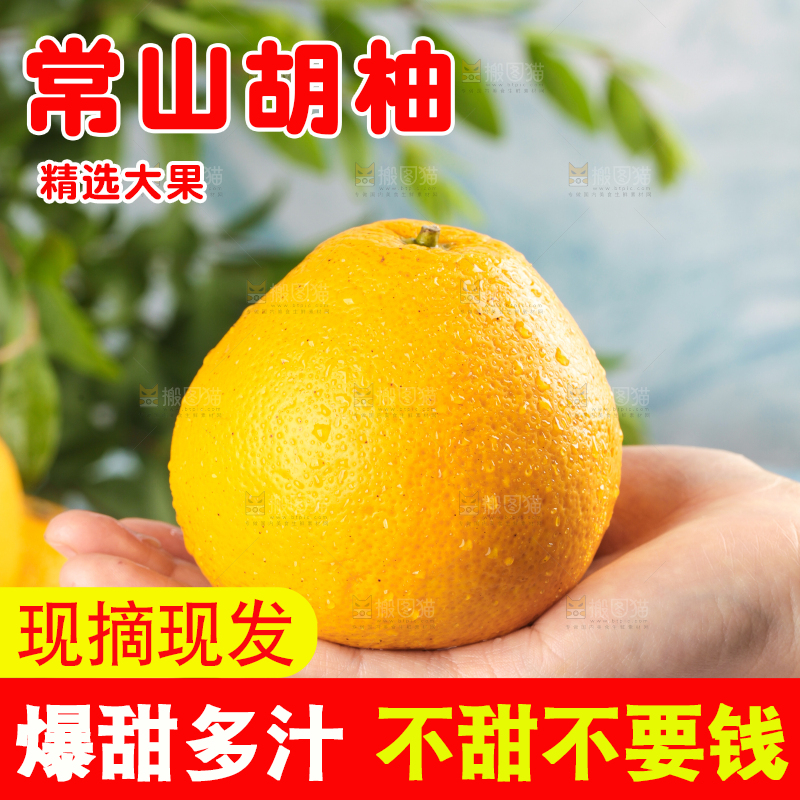 手里拿着新鲜胡柚