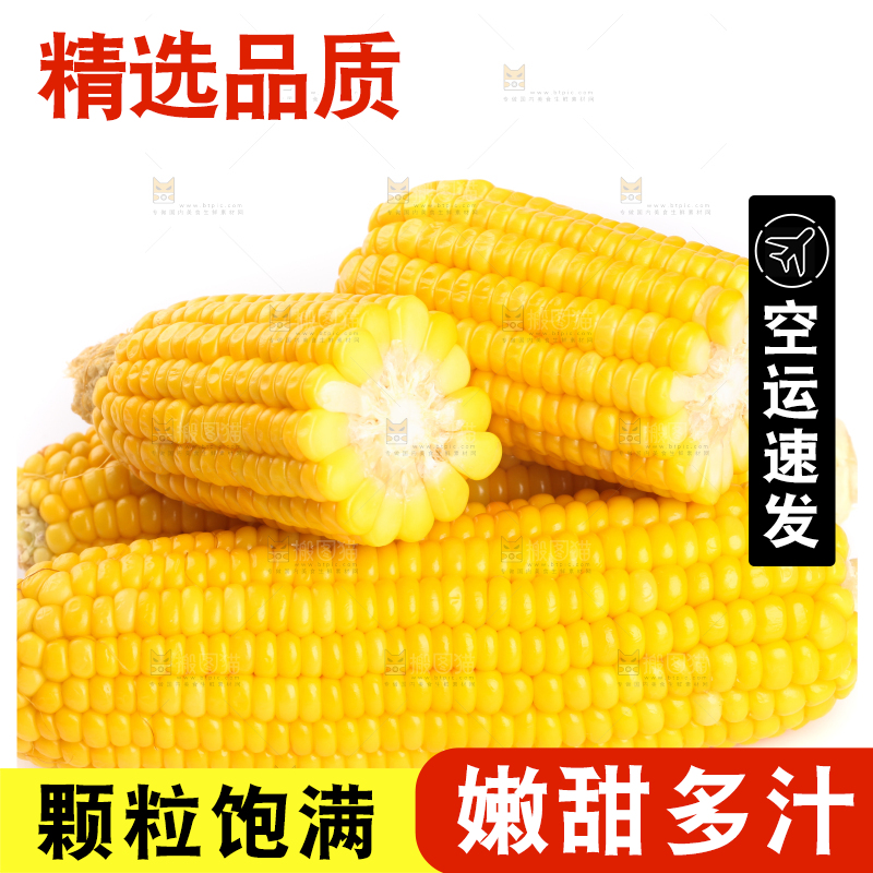白底上放着黄玉米