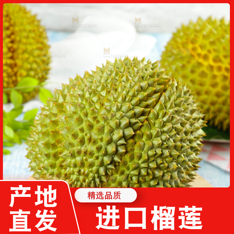 蓝底上的巴掌榴莲