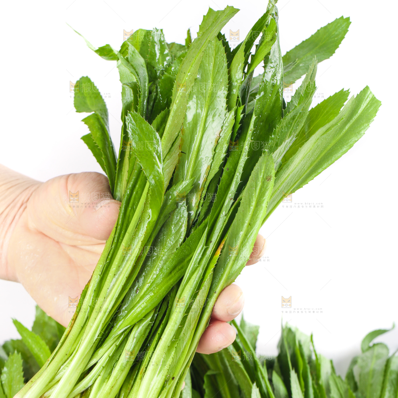 手拿云南大香菜