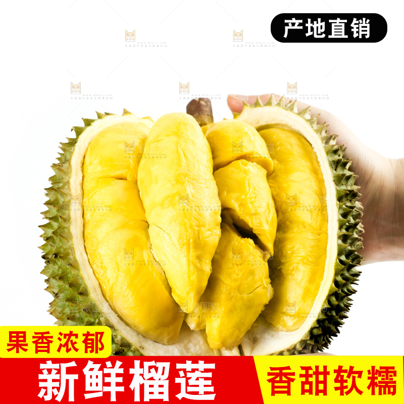 白底上摆放着甲仑榴莲