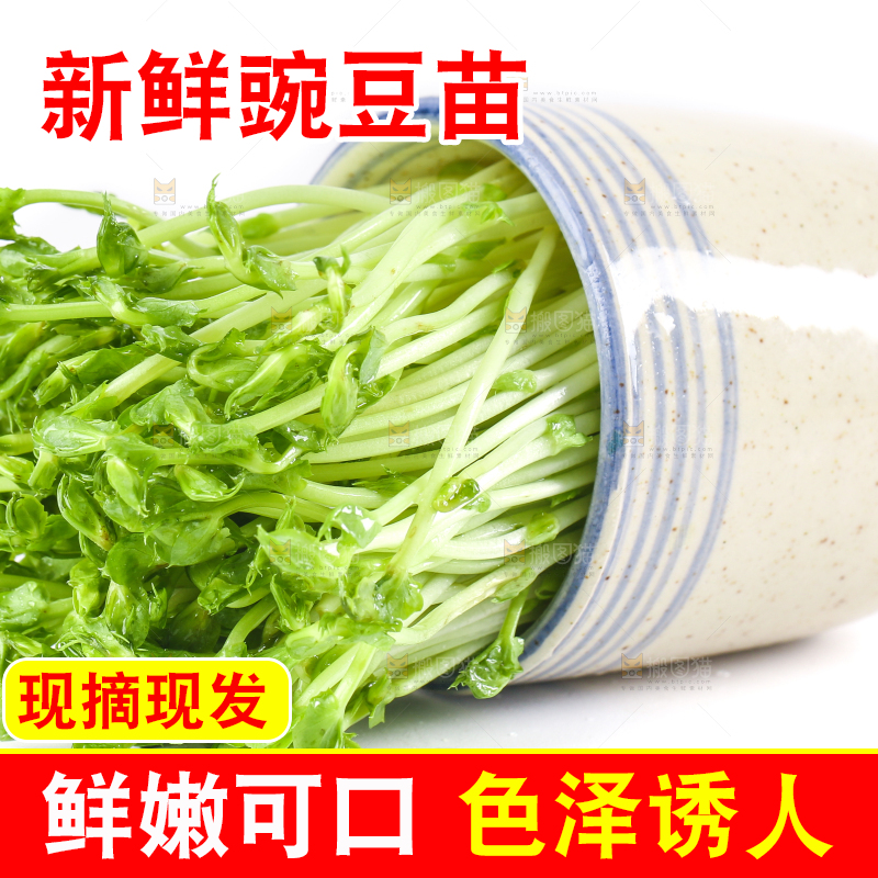 白底上放着豌豆芽菜