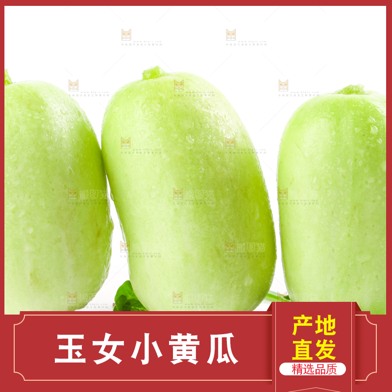 白底上的拇指小黄瓜