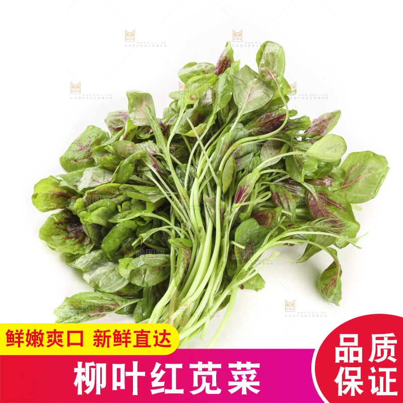 白底上的农家苋菜