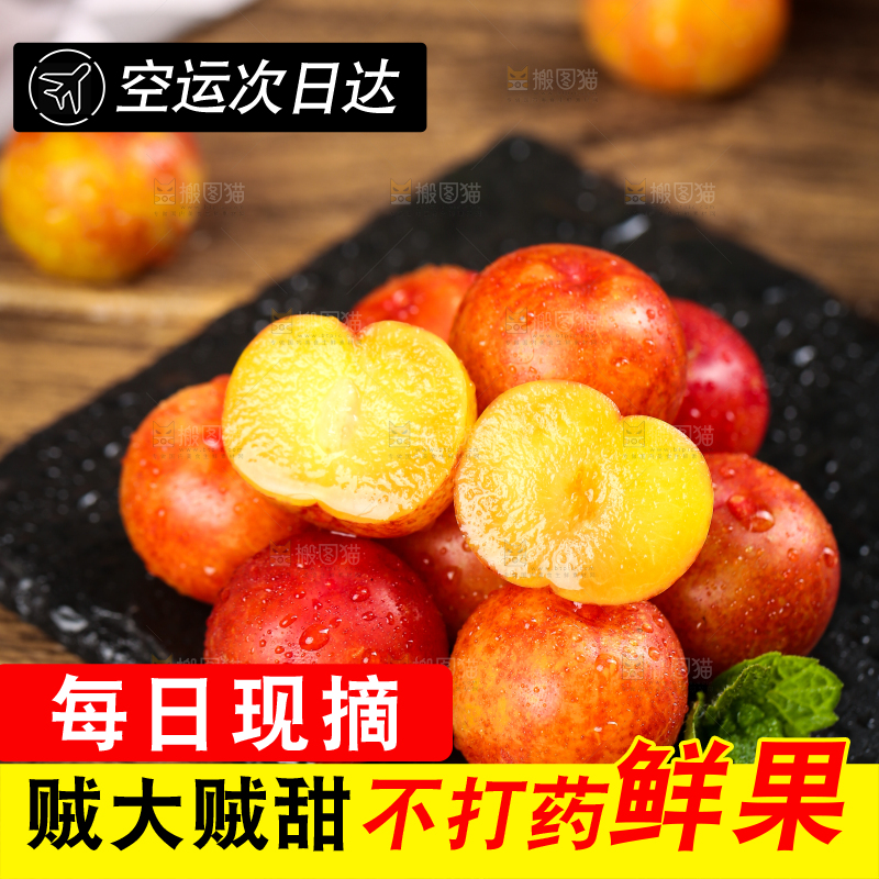 黑石板上放着钱排三月李