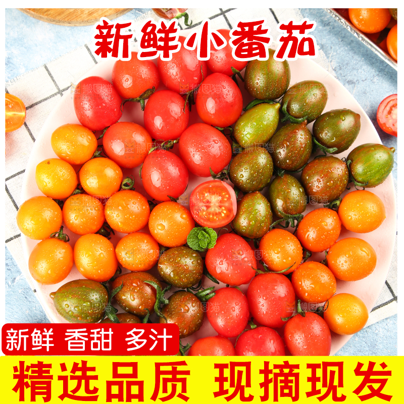 格子布上放着一盘三色小番茄