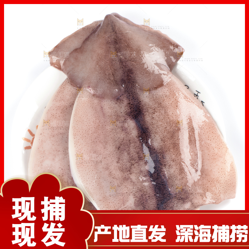 白底上放着大鱿鱼