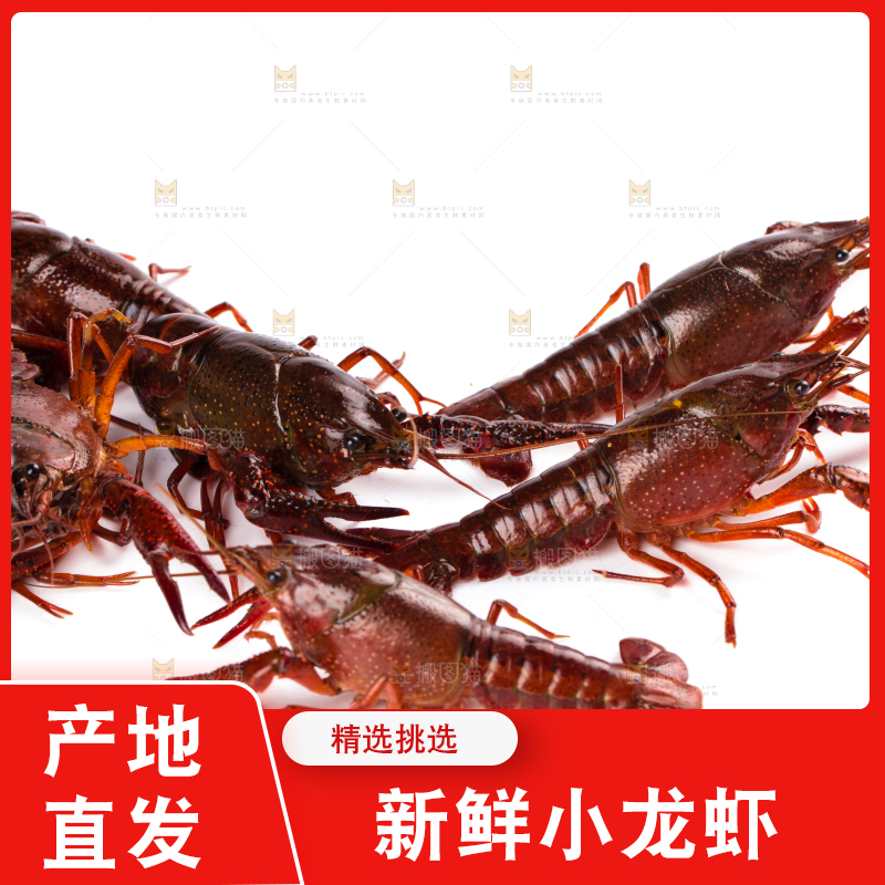 白底上放着潜江小龙虾
