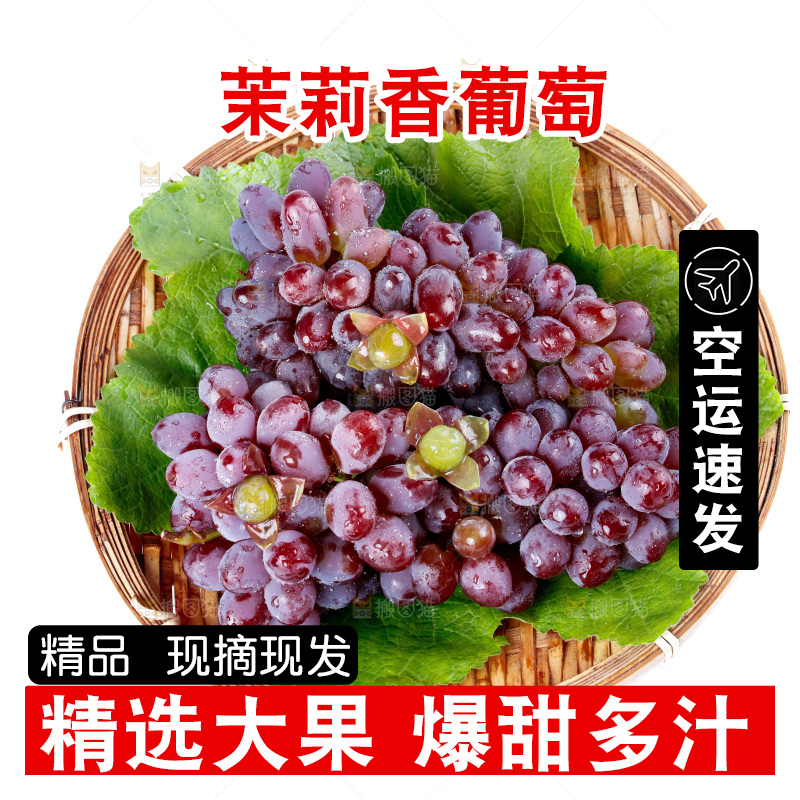 盘子里装着茉莉香葡萄