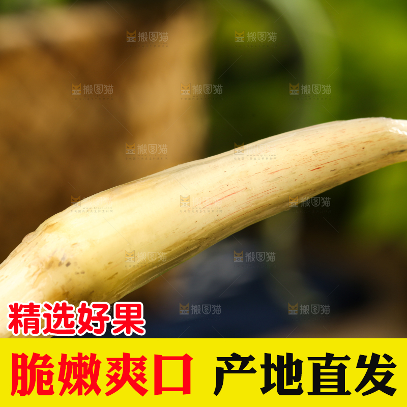荷叶上放着洪湖藕带