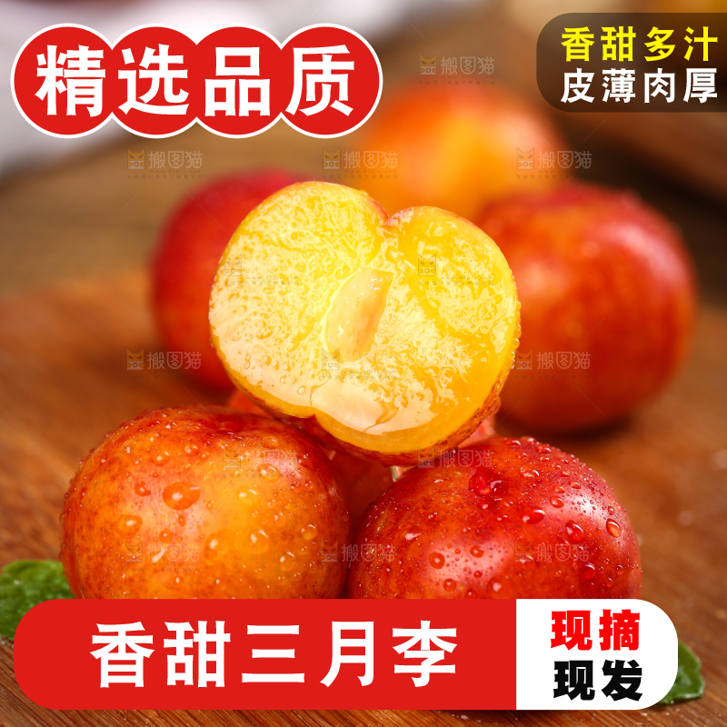 木板上的珍珠李