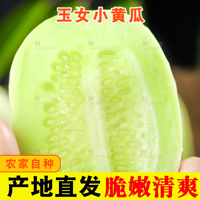 手拿切开的玉女黄瓜