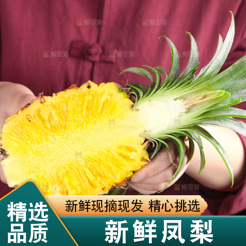 篮子里装着海南金钻凤梨