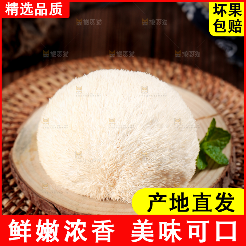 竹底上的云南新鲜猴头菇
