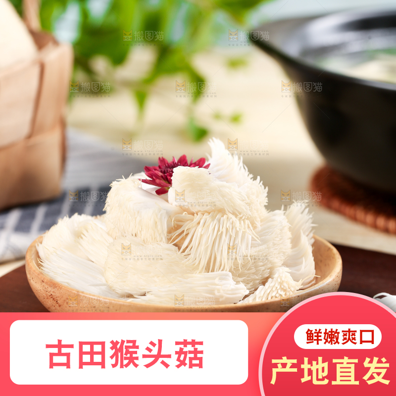 木板上放着长白山猴头菇