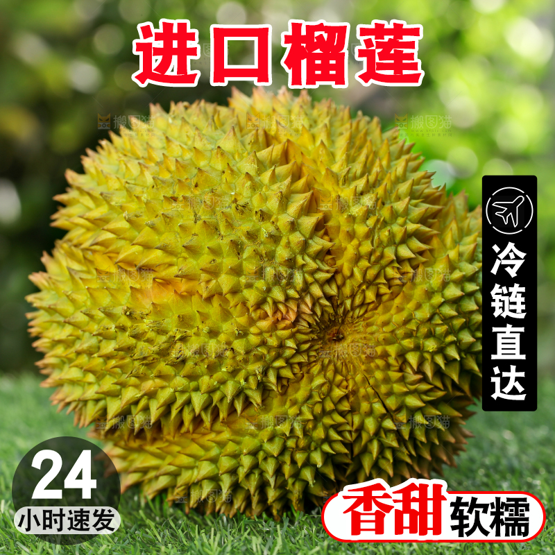 草地上的泰国甲仑榴莲