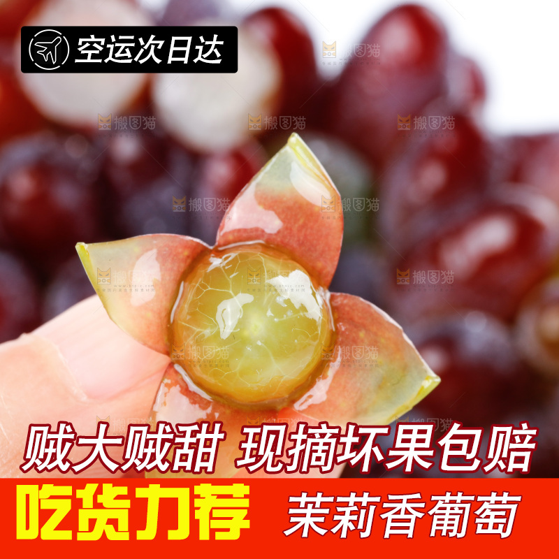 白底上放着云南茉莉香葡萄